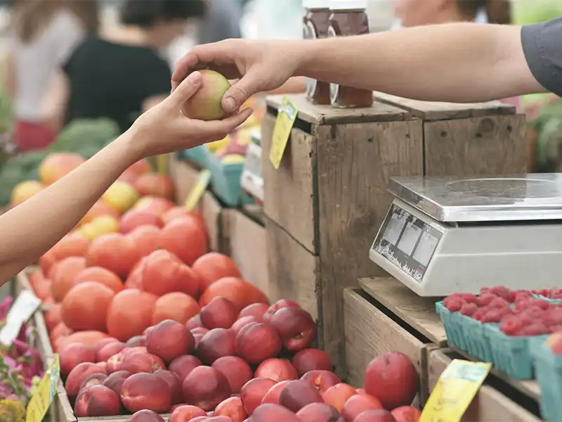 marché aux légunes dans le Charolais Brionnais